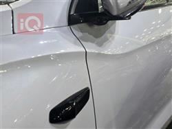 بي واي دي ‎سونغ برو DM-i